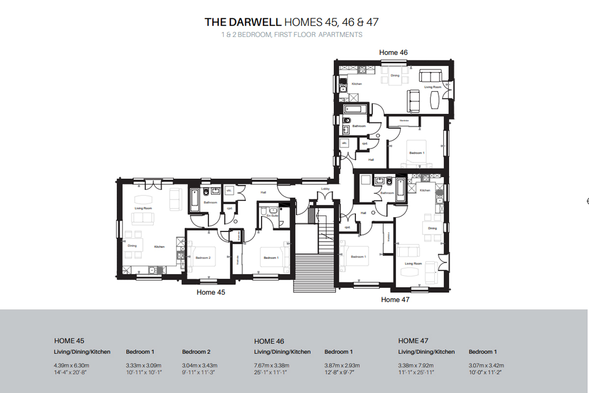 Plot 46 The Darwell Elivia Homes